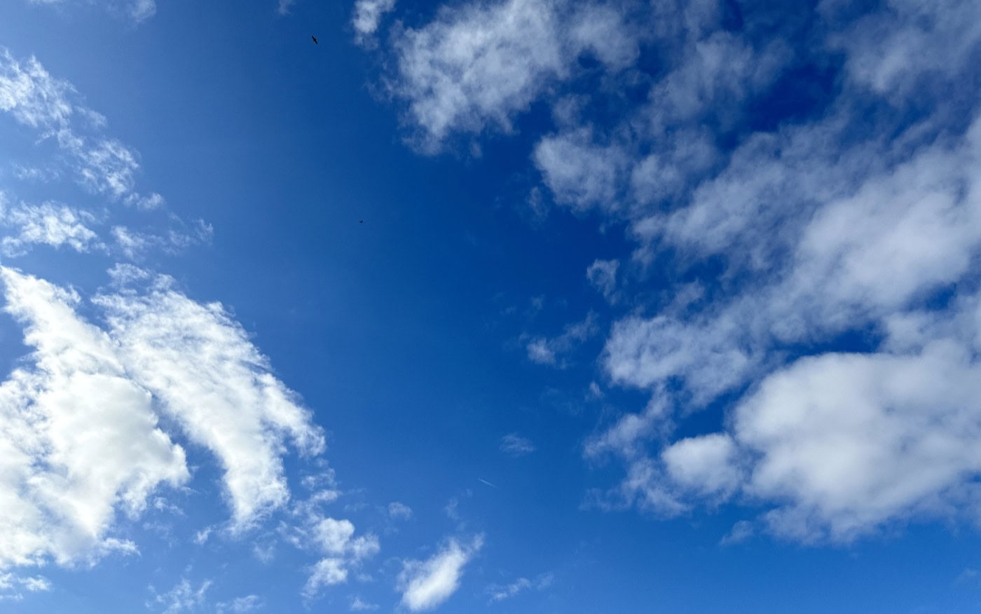 a spread of thin, small white cumulus clouds in a blue sky