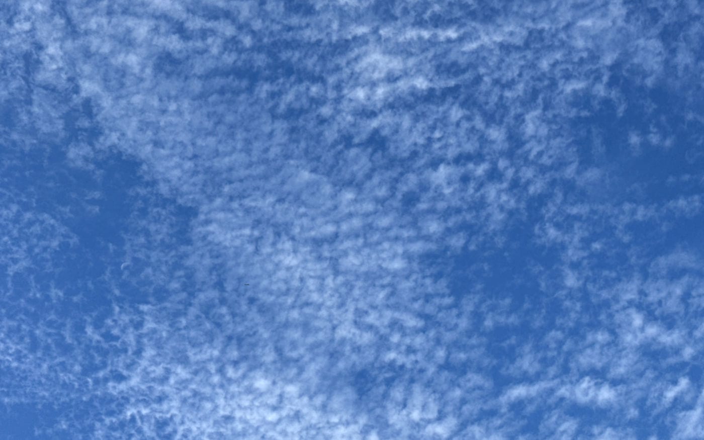 A spread of very small, high-level, cirro-cumulus clouds in a clear blue sky