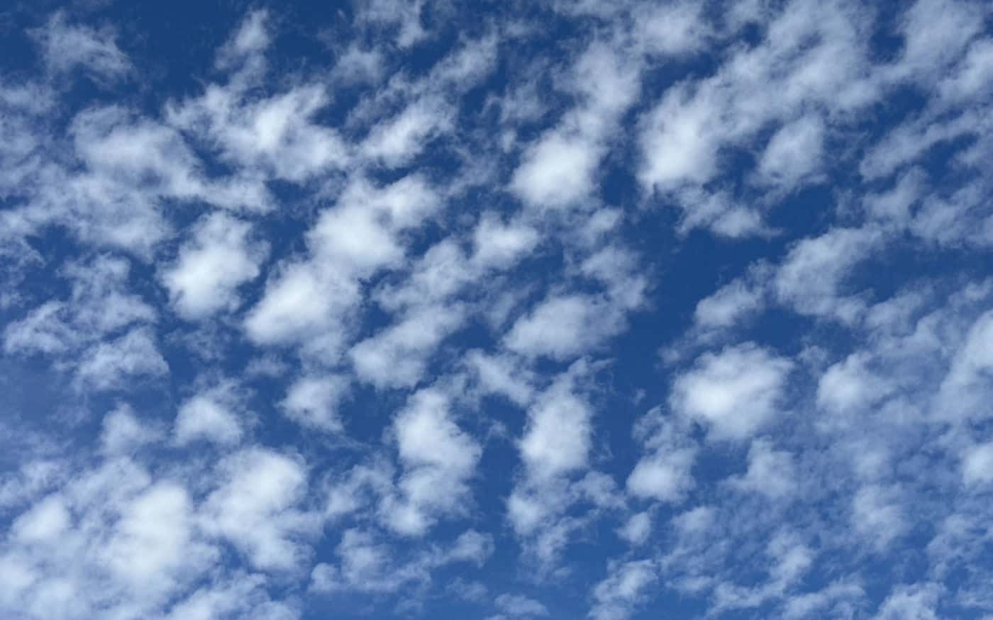Small, high, white altocumulus clouds in a blue sky